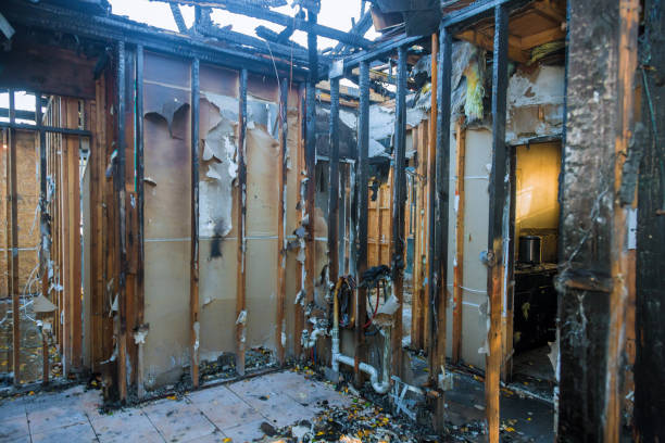 Professional Fire Damage Repair technician working in Aliceville, AL